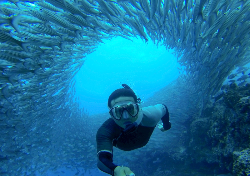 Galapagos Underwater School of Fish Selfie Omar Medina 2014 G0092559 Lg RGB 